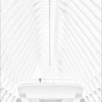 Observation Deck by Adele Gibson
