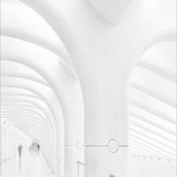 Architectural Concourse by Adele Gibson